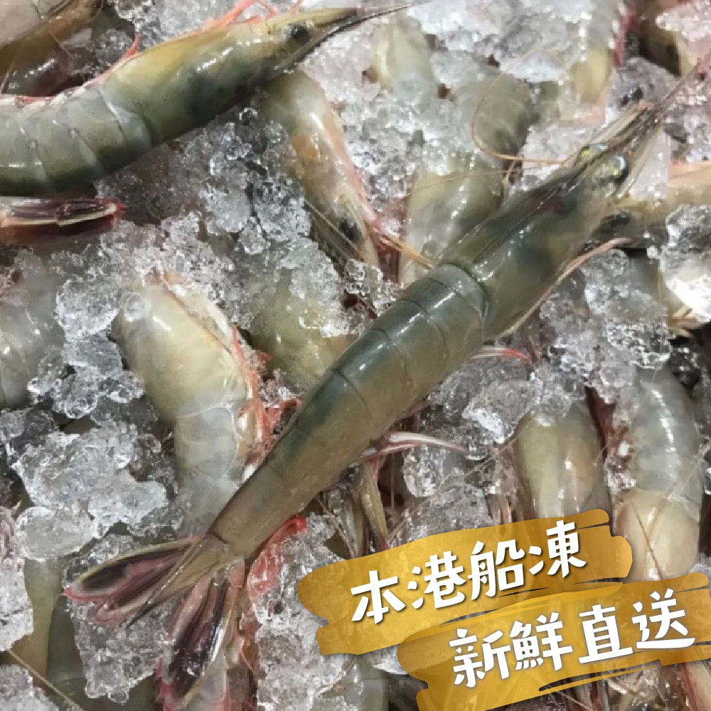 【帥哥魚海鮮】基隆野生老劍蝦(大)1.2kg/盒