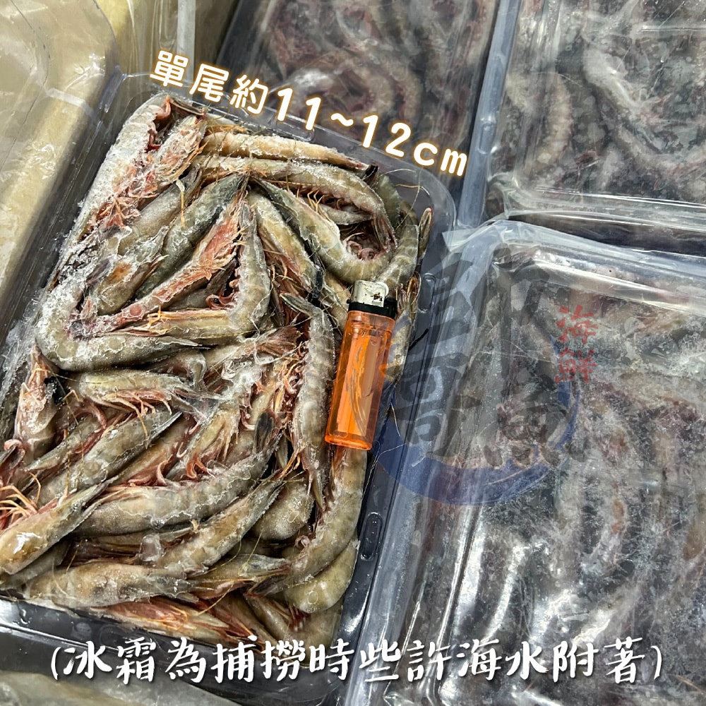 【帥哥魚海鮮】基隆野生老劍蝦(大)1.2kg/盒
