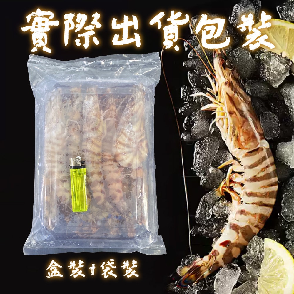 【帥哥魚海鮮】特級大明蝦1.2kg/盒