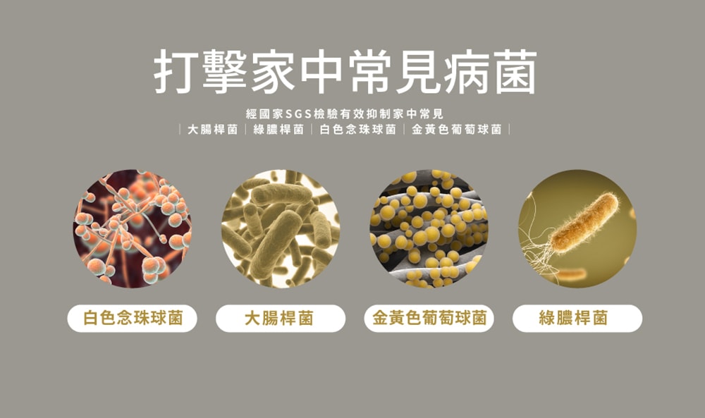 【HERAN 禾聯】奈米銀雙效抑菌DC風扇 (HDF-16AH72B)