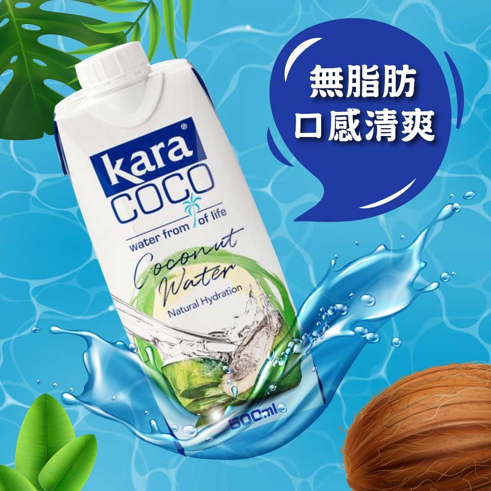 【KARA COCO】佳樂椰子水500mlx12入x2箱