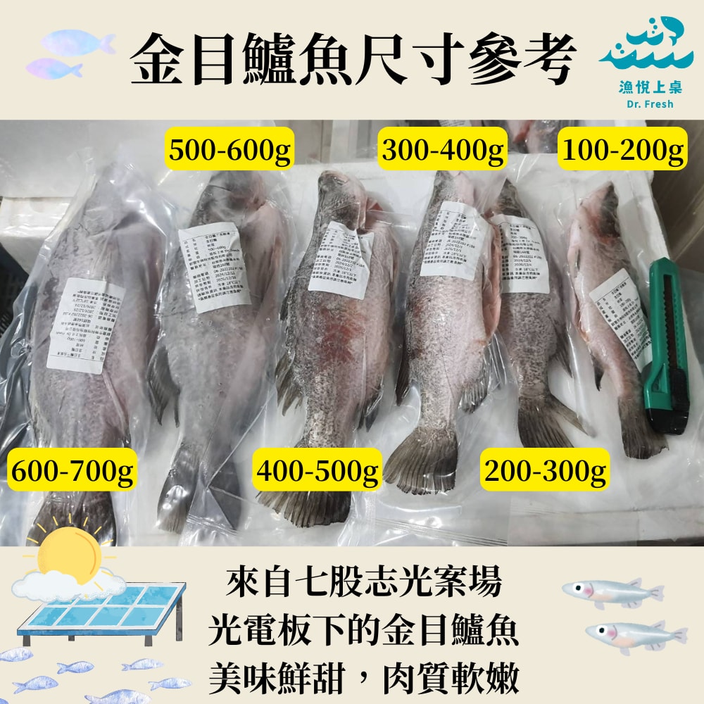 【漁悅上桌 Dr. Fresh】金目鱸魚條凍(400-500g)6入組(加贈-金目鱸魚下巴2入)