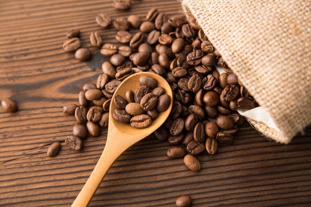 【古坑農會】加比山頂級精裝咖啡豆-227g (半磅)-罐 (1罐組)