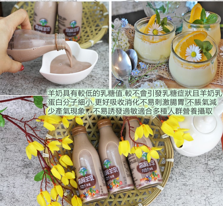 【高屏羊乳】【高屏羊乳】6大認證SGS玻瓶巧克力調味羊乳180mlx15瓶
