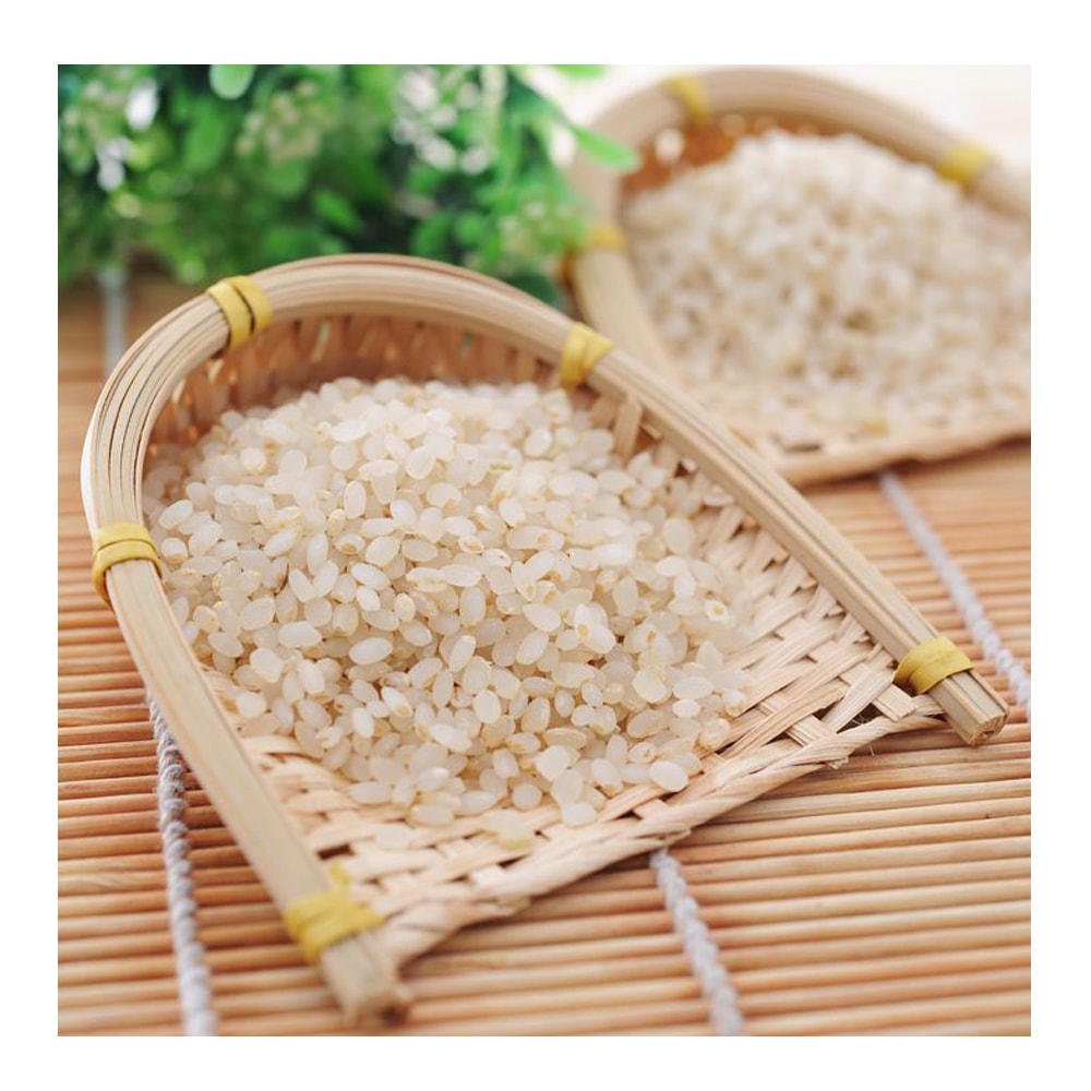 【西螺農會】胚芽米-3kg-包 (2包組)