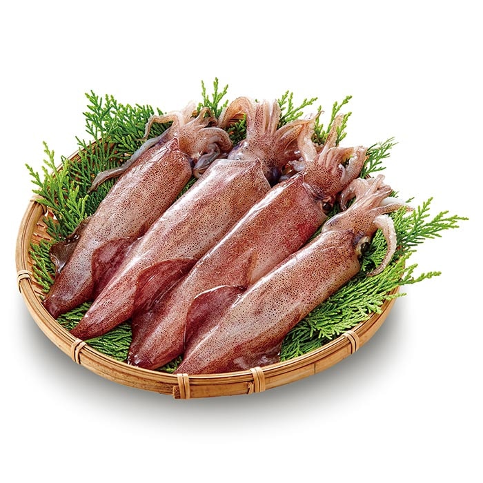 【澎湖區漁會】鮮凍小管(4尾入)