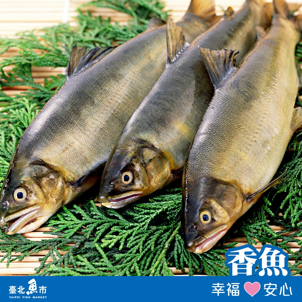 【臺北魚市】香魚350g~400g (2尾/包)×8包(共16尾)