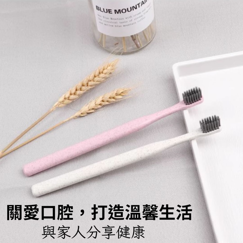 【A.O.Smith】金龍麥袺桿細尖毛環保牙刷 4支*6組