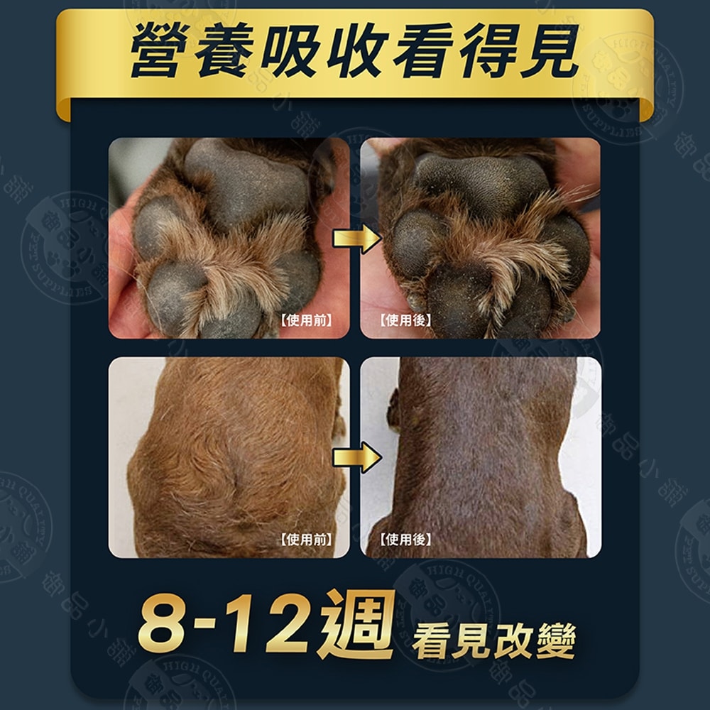 【BLACKWOOD 柏萊富】特調系列 10磅 全犬適用 毛髮亮麗 保護關節 益生菌 減少毛髮掉落 高吸收率