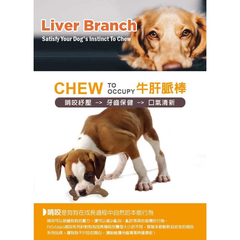 【Petstages】68610牛肝脈棒-M 狗玩具  寵物 磨牙 潔齒 啃咬 耐咬 防水 狗玩具 安全