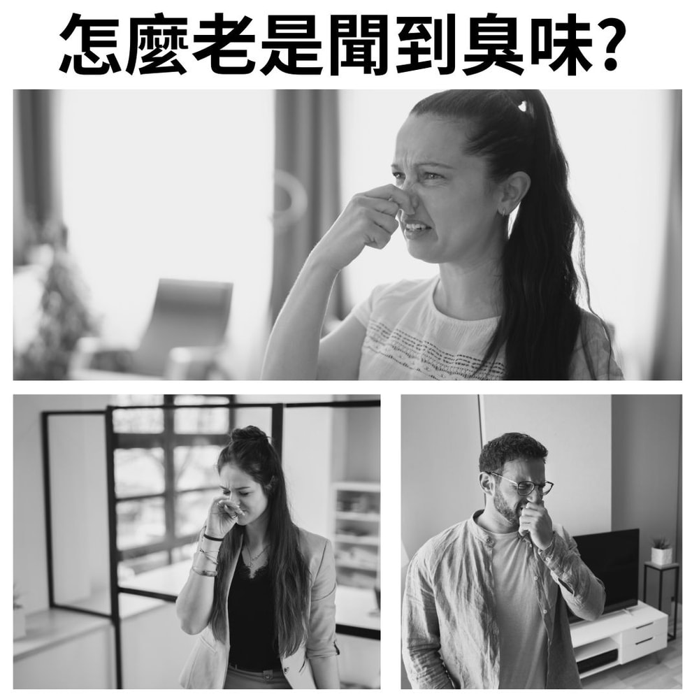 【EMO】飄香王芳香除臭液 300ml*12瓶 櫻花 晨露 白麝香 小蒼蘭