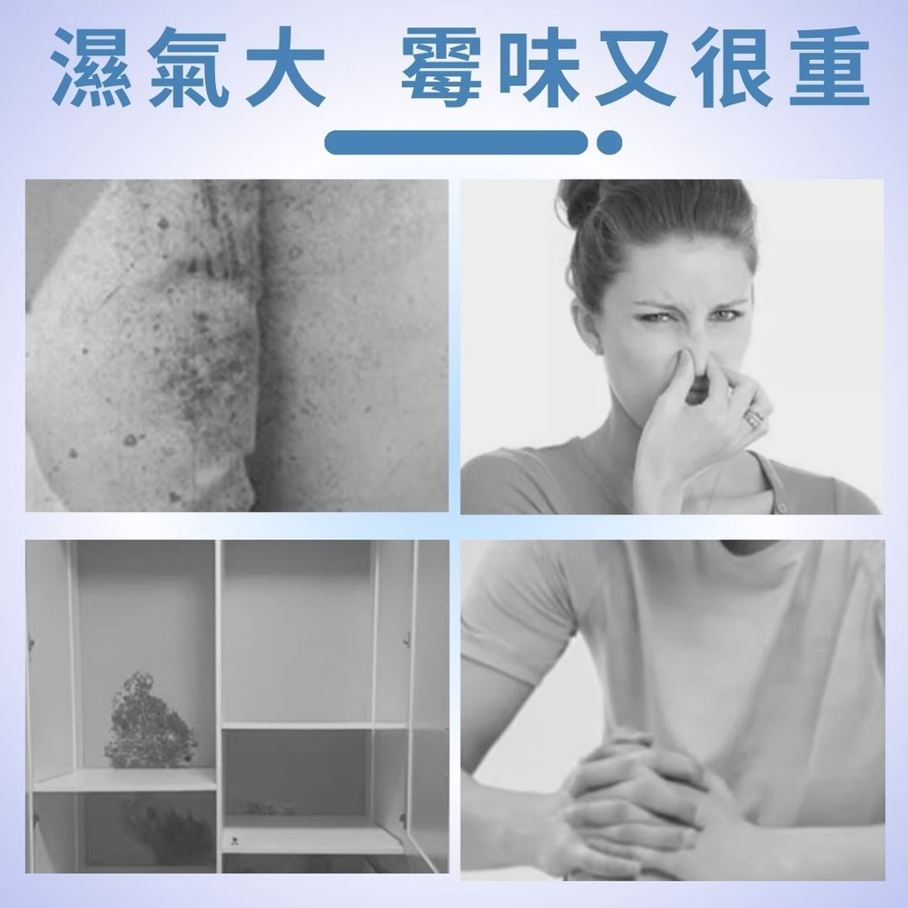 【EMO】EMO除濕王吊掛集水除溼袋2入 180g*2入*12組