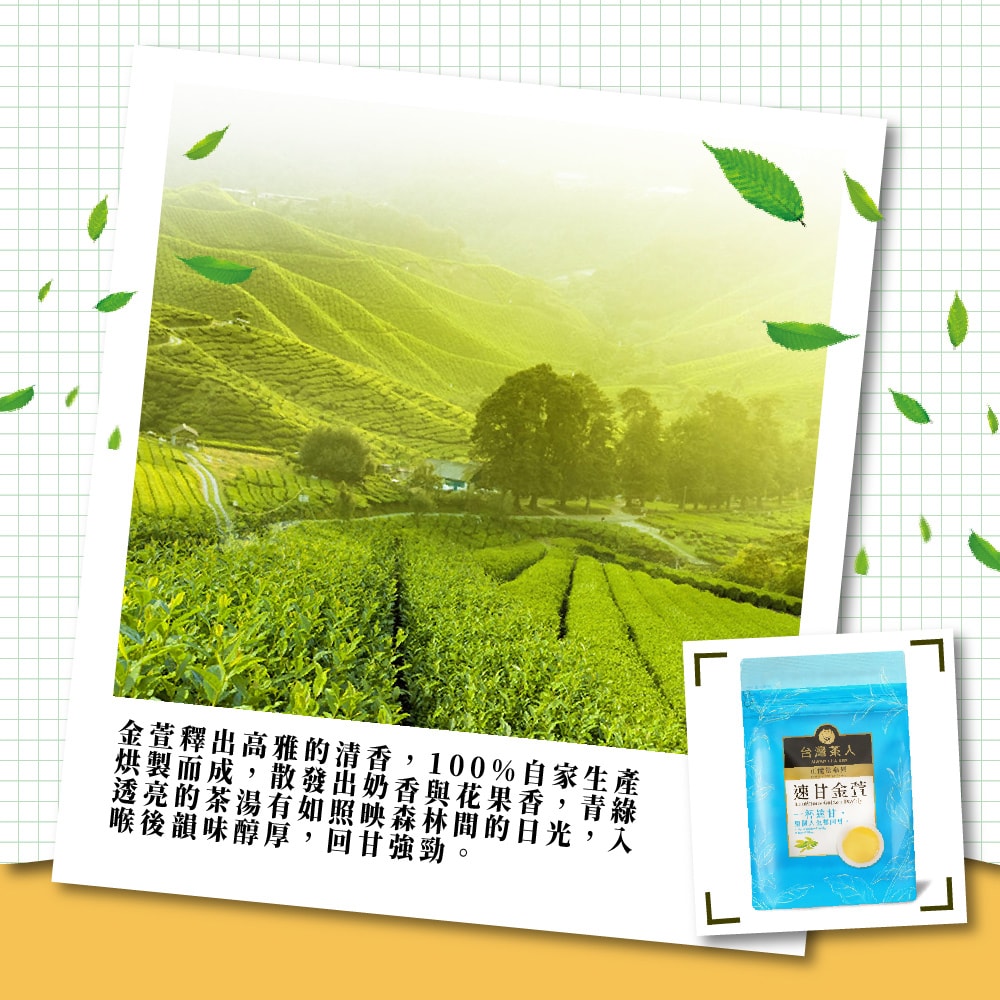 【台灣茶人】正能量系列－速甘金萱四角茶包(2g*25入)