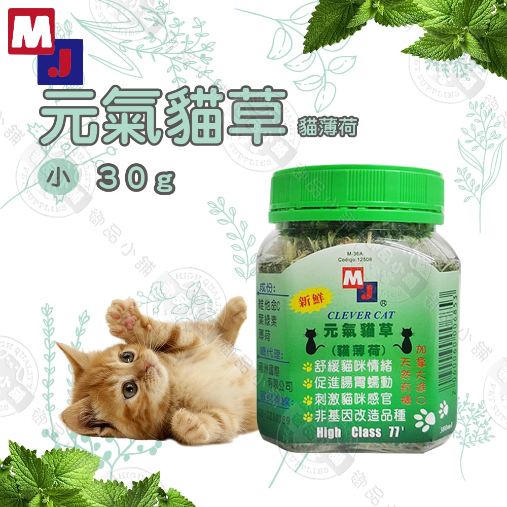 【MJ 萌洲】聰明貓 元氣貓草 30G  貓薄荷草 維他命C 葉綠素 助化毛 貓草 貓零食