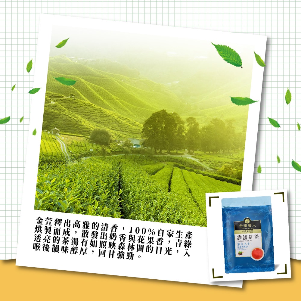 【台灣茶人】正能量系列－靠譜紅茶四角茶包(2g*25入)