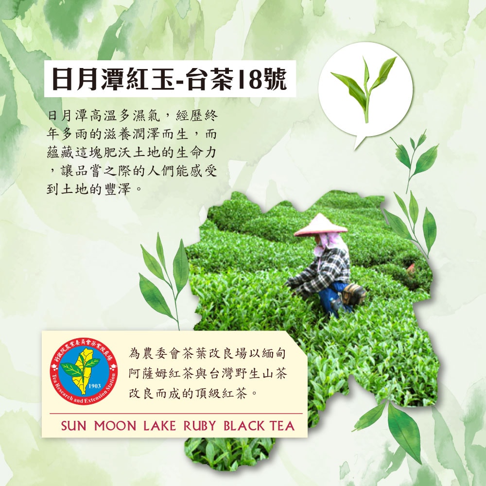 【台灣茶人】金葉金獎100%台灣茶系列-日月潭紅玉紅茶 (2.5g*15包/盒)