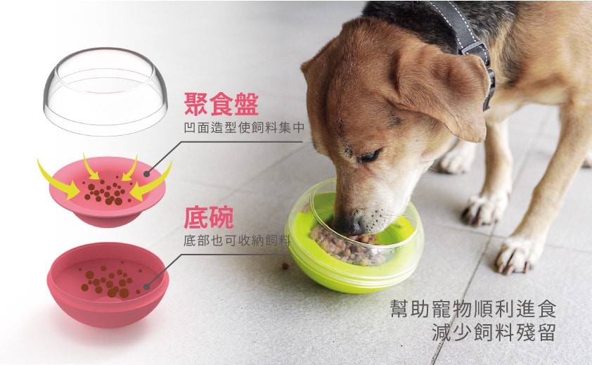 【ACEPET愛思沛】愛思沛 6924 搖滾健康慢食碗 犬貓適用 寵物碗 慢食 狗碗 貓碗