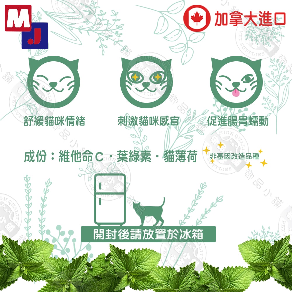 【MJ 萌洲】聰明貓 元氣貓草 30G  貓薄荷草 維他命C 葉綠素 助化毛 貓草 貓零食