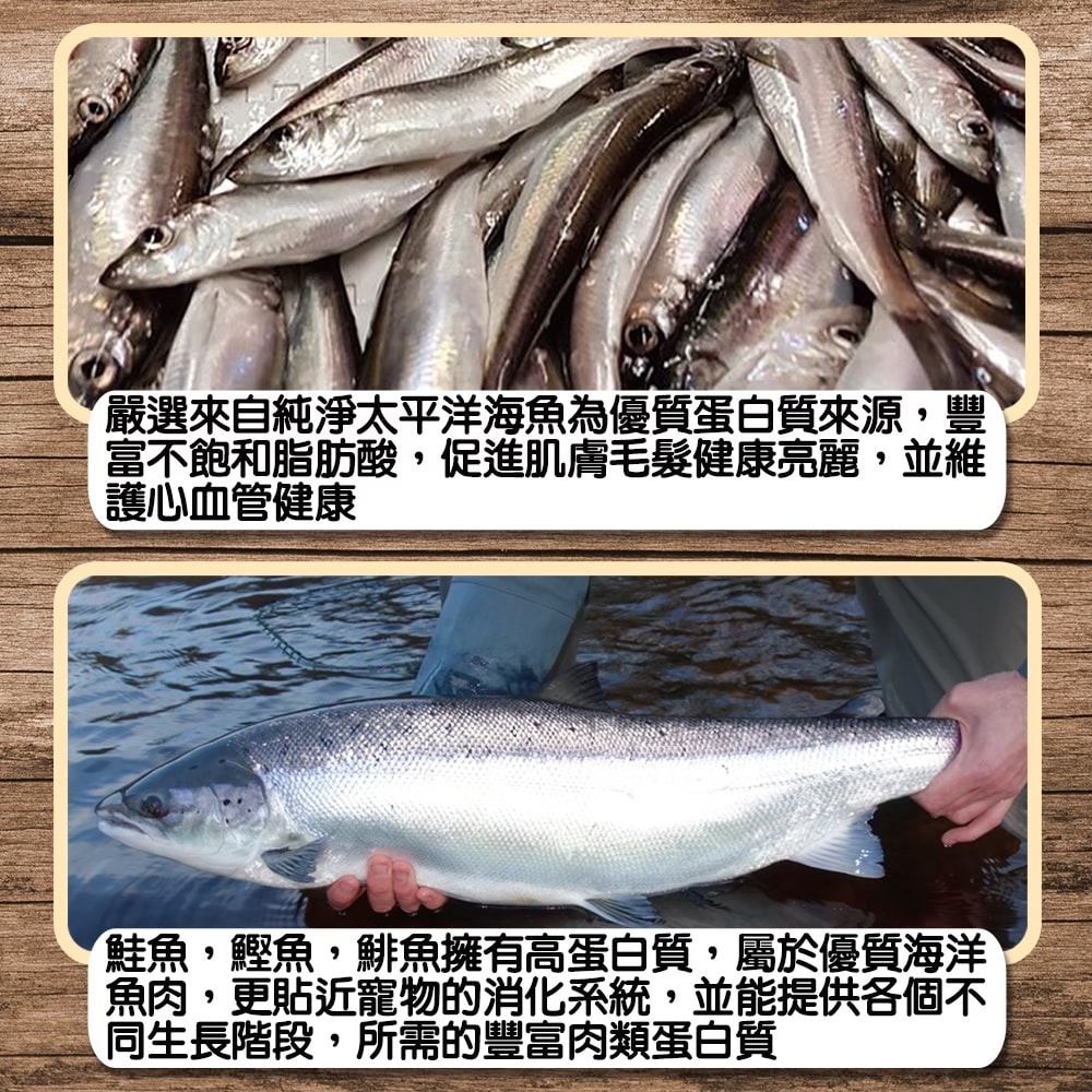 【倍思特】無穀全齡天然犬糧 16磅 多種魚盛宴 饕嘴全齡犬低敏護膚配方 天然低敏-100%無穀無麩