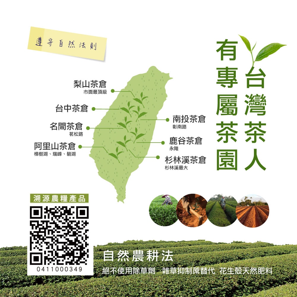 【台灣茶人】油切兒茶素金萱茶包 (6g*8入/盒)-3件組