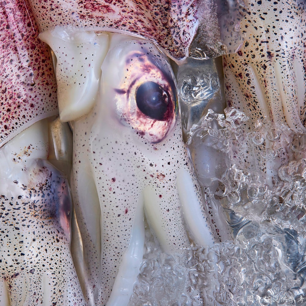 【五朝港水產】鮮美船凍尖卷 饕客頂級旗艦組 買8送10 共18包【5400克±10%】 (每包:300克±10%/ 約7~13尾 )