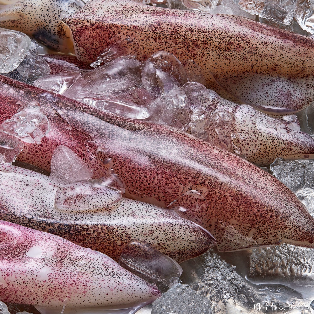 【五朝港水產】鮮美船凍尖卷 饕客頂級旗艦組 買8送10 共18包【5400克±10%】 (每包:300克±10%/ 約7~13尾 )