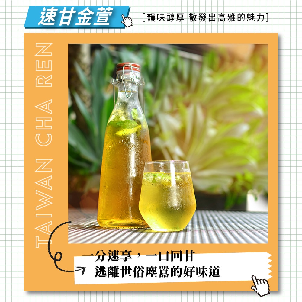 【台灣茶人】正能量系列－任選 ( 速甘金萱 / 長韻烏龍 / 玫瑰綠茶 / 靠譜紅茶 )-3件組