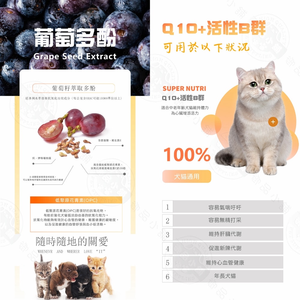 【LIFE+】Q10+活性B群 護心肝40粒/盒 犬貓護心肝 心血管保健 肝臟代謝 心肌能量 保養品