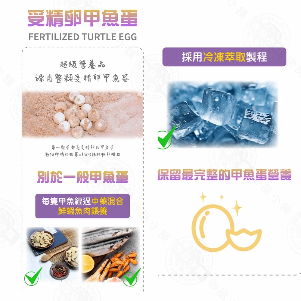 【LIFE+】貓咪生命膠囊(甲魚蛋)60粒/盒 鱉蛋 迅速爆毛 促進泌乳 皮膚健康 術後恢復 保養品 貓用 虎揚