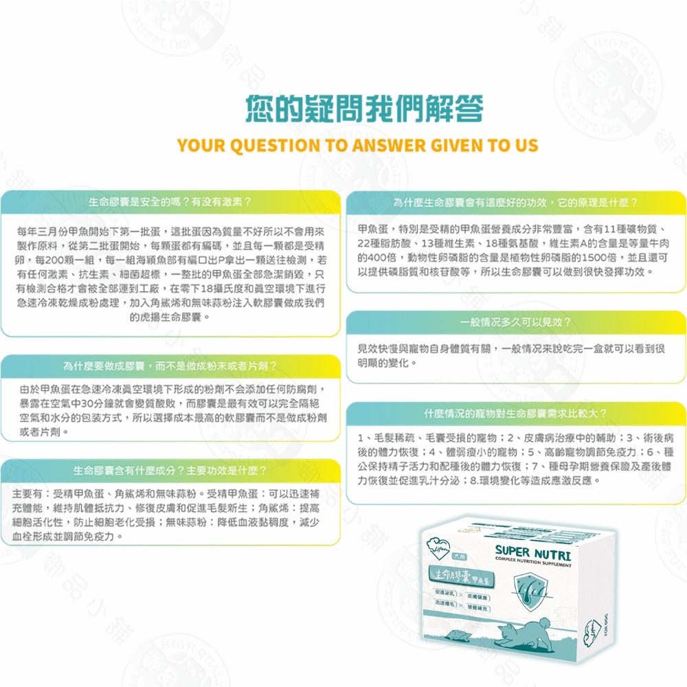 【LIFE+】犬用生命膠囊(甲魚蛋)60粒/盒 鱉蛋 迅速爆毛 促進泌乳 皮膚健康 術後恢復