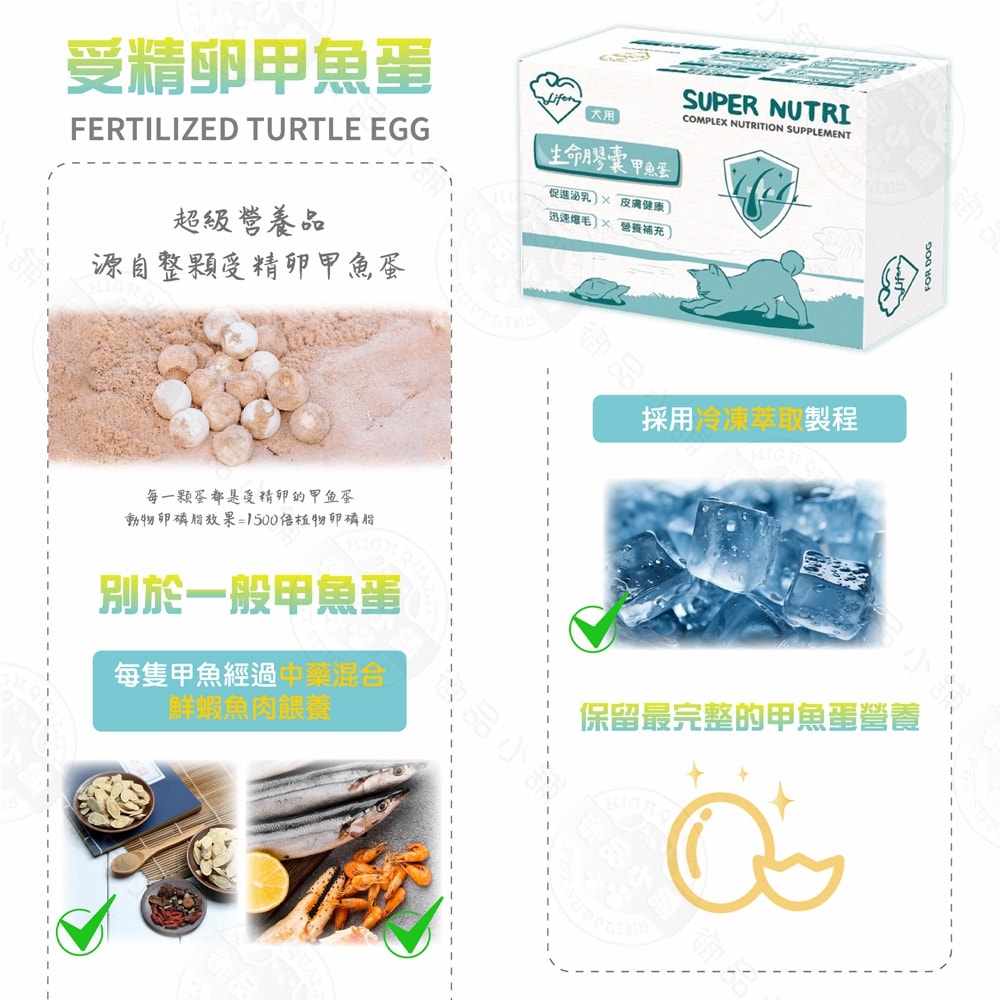 【LIFE+】犬用生命膠囊(甲魚蛋)60粒/盒 鱉蛋 迅速爆毛 促進泌乳 皮膚健康 術後恢復
