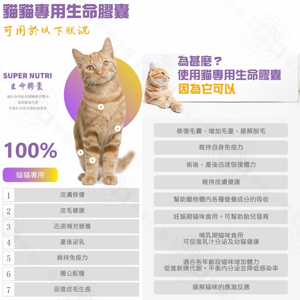 【LIFE+】貓咪生命膠囊(甲魚蛋)60粒/盒 鱉蛋 迅速爆毛 促進泌乳 皮膚健康 術後恢復 保養品 貓用 虎揚