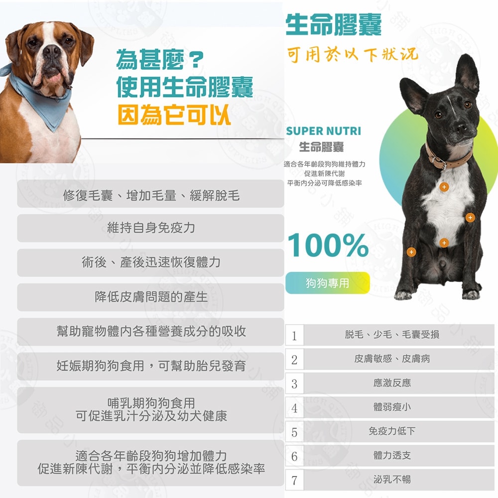 【LIFE+】犬用生命膠囊(甲魚蛋)60粒/盒 鱉蛋 迅速爆毛 促進泌乳 皮膚健康 術後恢復