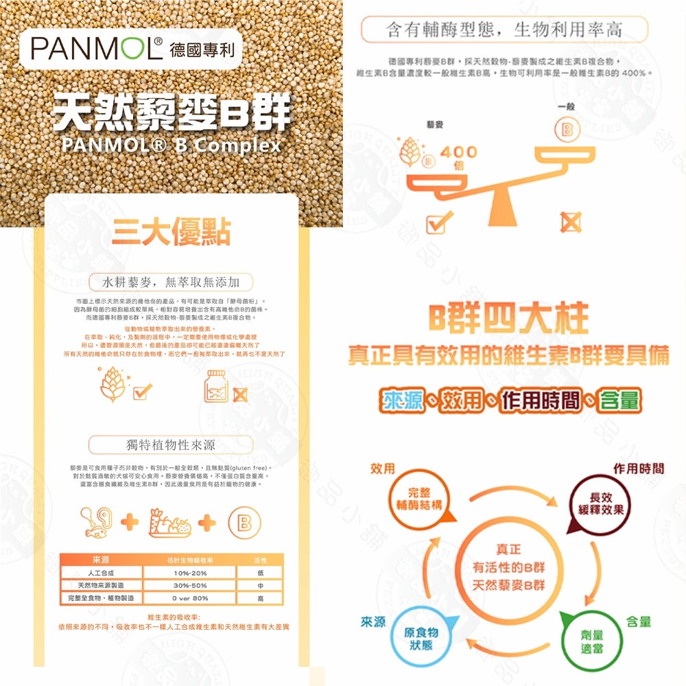 【LIFE+】Q10+活性B群 護心肝40粒/盒 犬貓護心肝 心血管保健 肝臟代謝 心肌能量 保養品