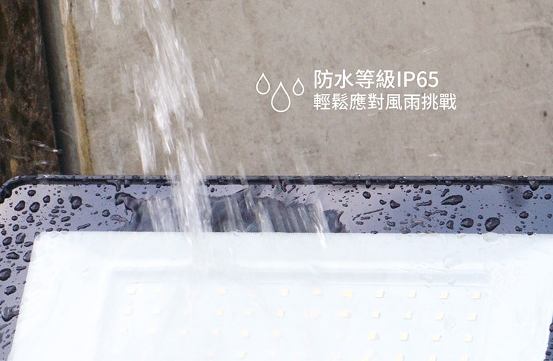 【太星電工】30WLED防水投射燈/全電壓 WDA3030