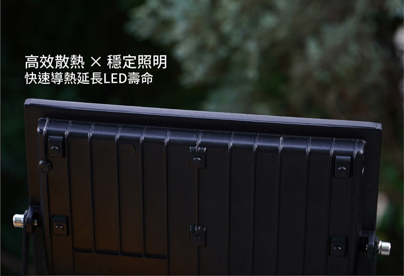 【太星電工】100WLED防水投射燈/全電壓 WDA30100