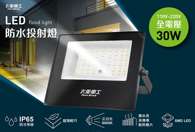【太星電工】30WLED防水投射燈/全電壓 WDA3030