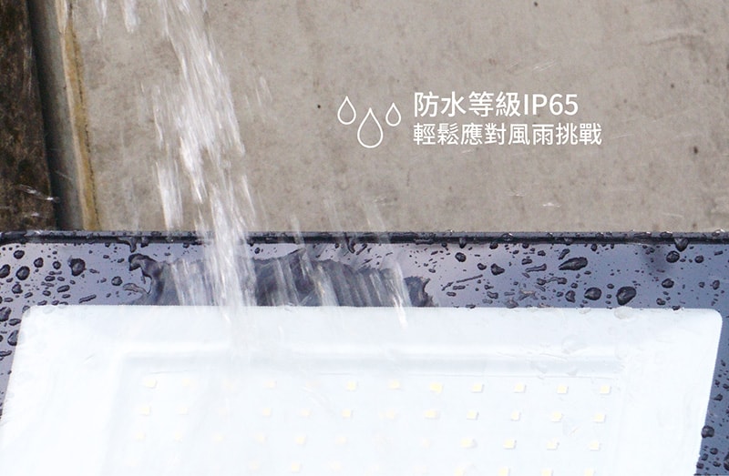 【太星電工】100WLED防水投射燈/全電壓 WDA30100