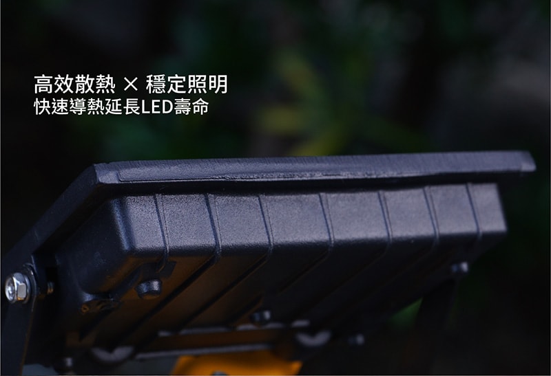 【太星電工】30WLED防水投射燈/全電壓 WDA3030