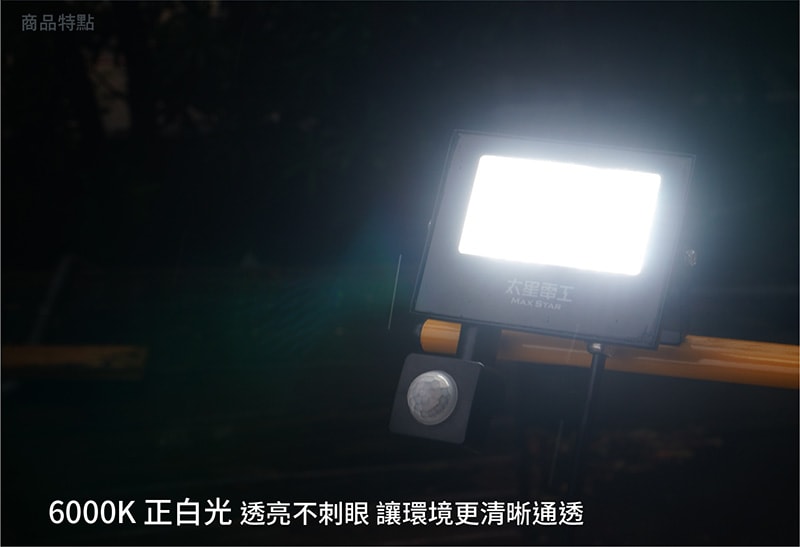 【太星電工】30WLED感應投射燈/全電壓 WDC3030