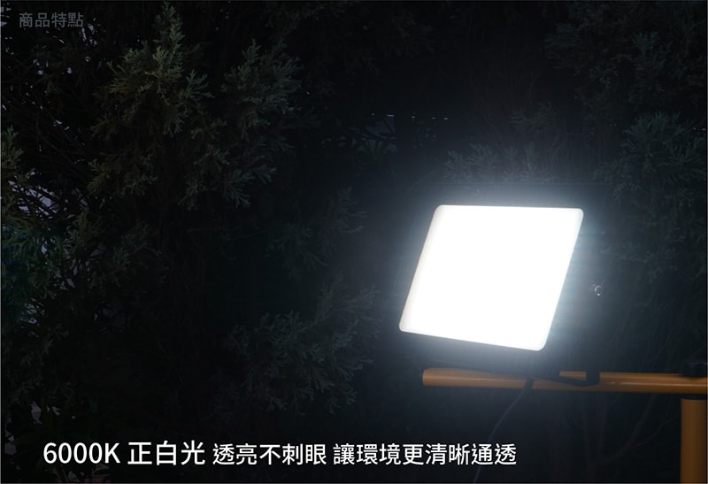 【太星電工】100WLED防水投射燈/全電壓 WDA30100