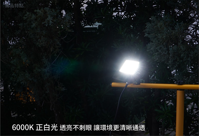 【太星電工】30WLED防水投射燈/全電壓 WDA3030