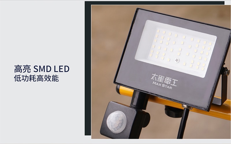 【太星電工】30WLED感應投射燈/全電壓 WDC3030