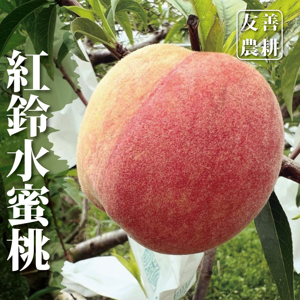 【十翼饌】台中東勢極品紅鈴水蜜桃 1公斤x1箱(黑貓低溫配送/110gx8粒)(5/30出貨)