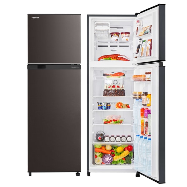 【TOSHIBA 東芝】262公升一級能效抗菌鮮凍變頻冰箱 GR-B31TP(SK)