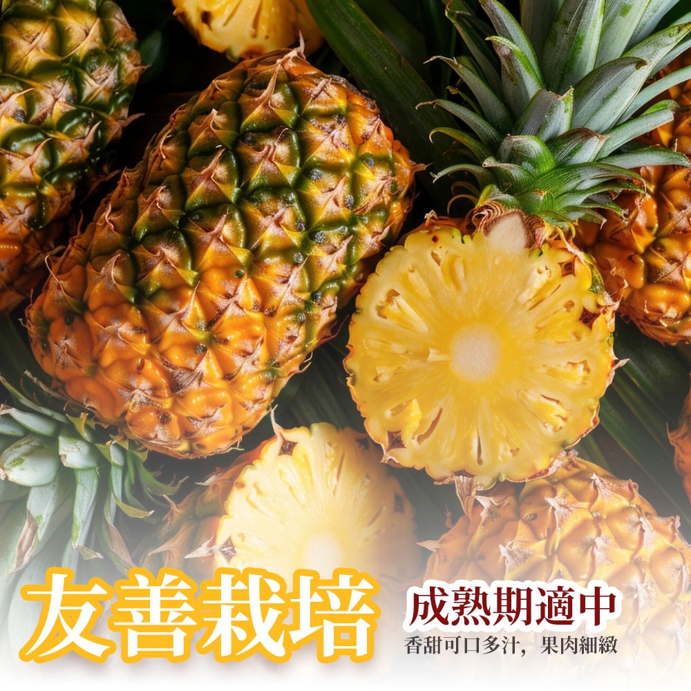 【沁甜果園】屏東金鑽鳳梨5台斤禮盒(2顆/盒)，共1盒-外銷等級-下單後5個工作天出貨