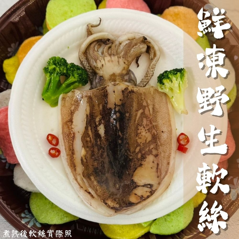 【五朝港水產】特選鮮美軟絲 (400-500克/隻) 3入優惠組