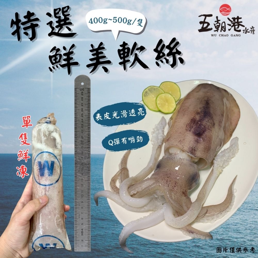 【五朝港水產】特選鮮美軟絲 (400-500克/隻) 3入優惠組