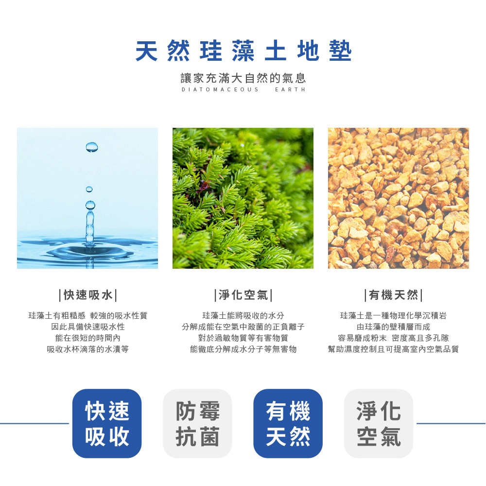 【收納王妃】原創彩繪系列 - 硬式珪藻土地墊(60*39*0.9cm) I MIT 台灣製 珪藻土 硅藻土 地墊 腳踏墊 SGS檢驗 不含石綿