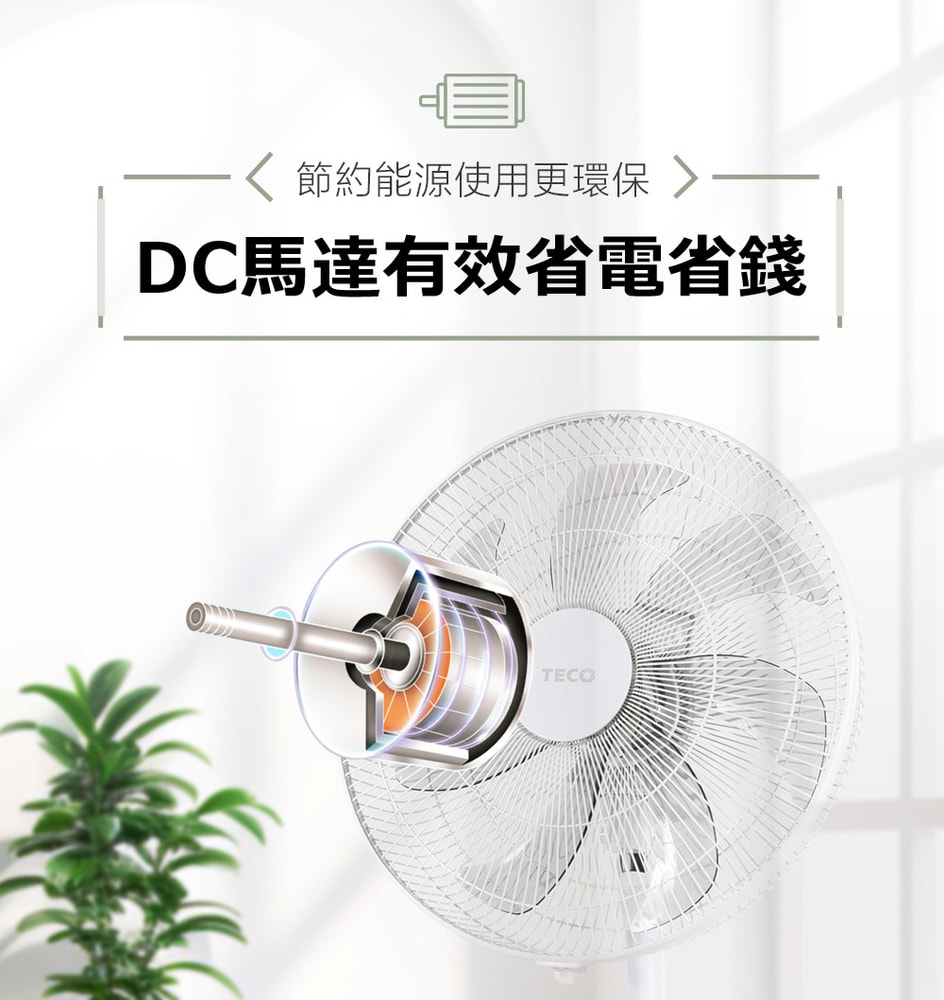 【TECO 東元】16吋 DC 馬達遙控立扇 XA1629BRD